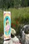 Emo - el Juego de las Emociones