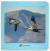 Aves