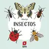 Naturaleza Insectos