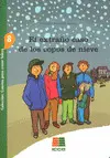 El Extraño Caso de los Copos de Nieve