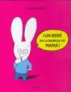 ¿Un Bebe en la Barriga de Mamá ?